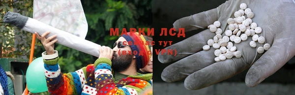 шишки Костерёво