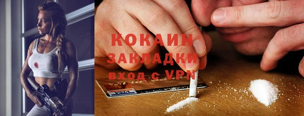 твердый Корсаков