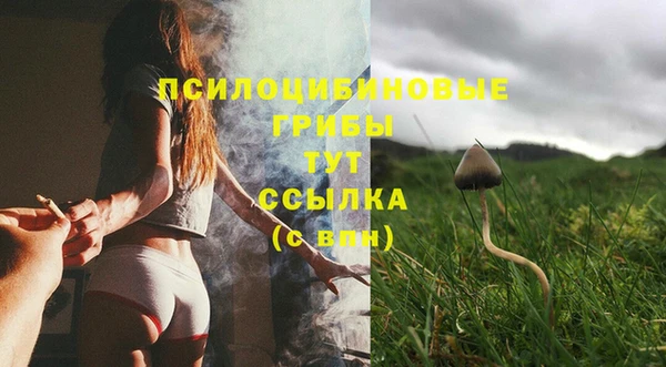 герыч Великий Новгород