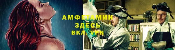 твердый Корсаков
