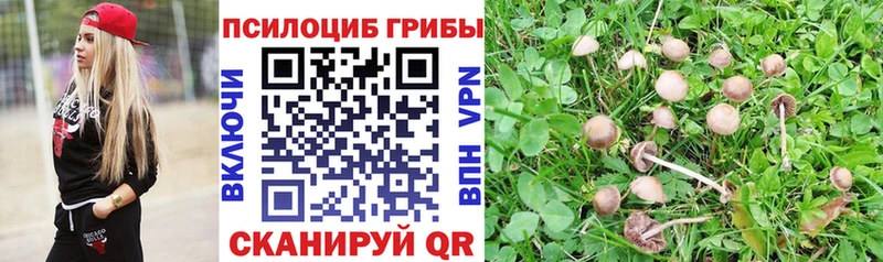 Псилоцибиновые грибы мицелий  даркнет сайт  Лесосибирск 