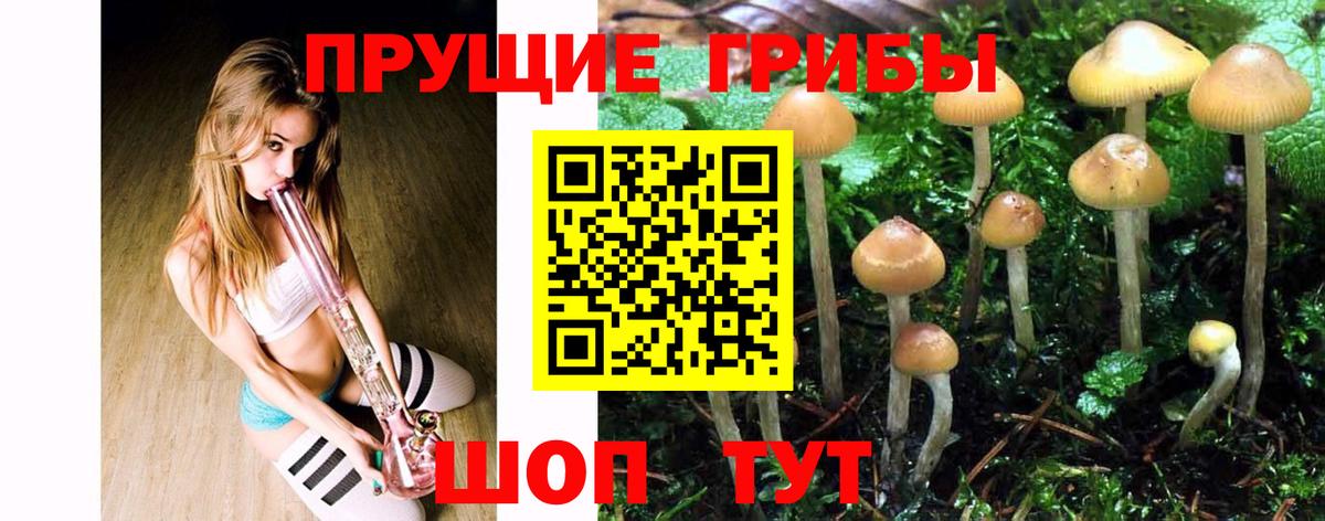 Галлюциногенные грибы GOLDEN TEACHER Лесосибирск