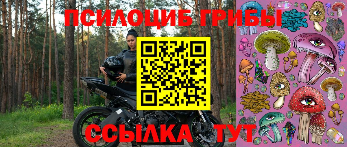 Галлюциногенные грибы мицелий  Галлюциногенные грибы MAGIC MUSHROOMS  Вход с VPN  Лесосибирск 